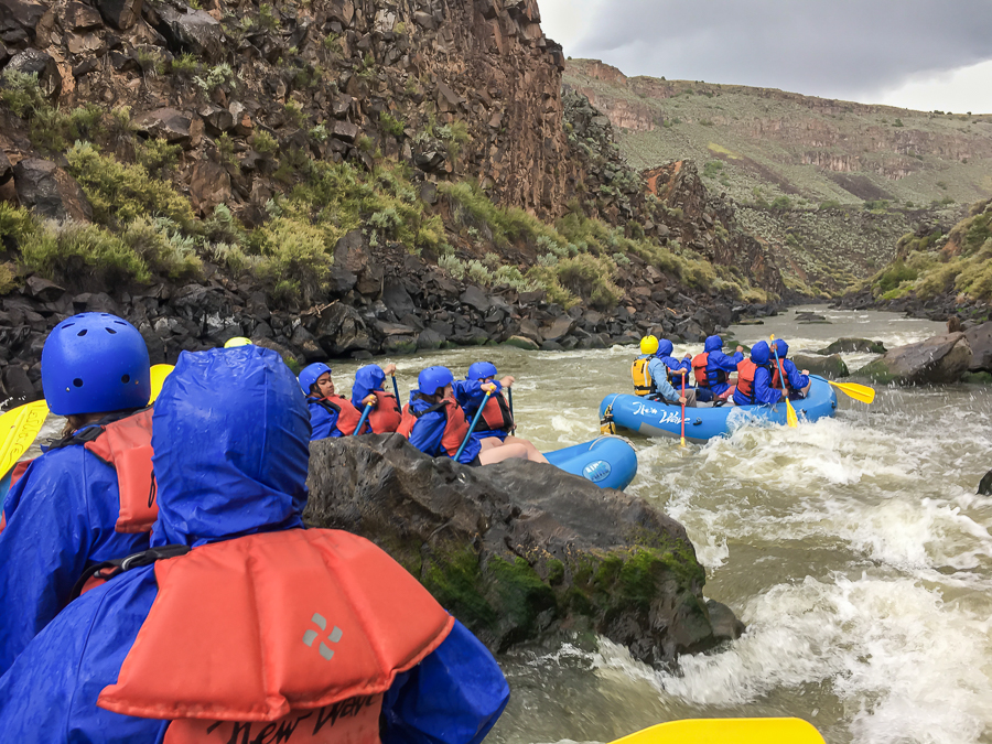 Getting a little crowded in the Rock Garden.